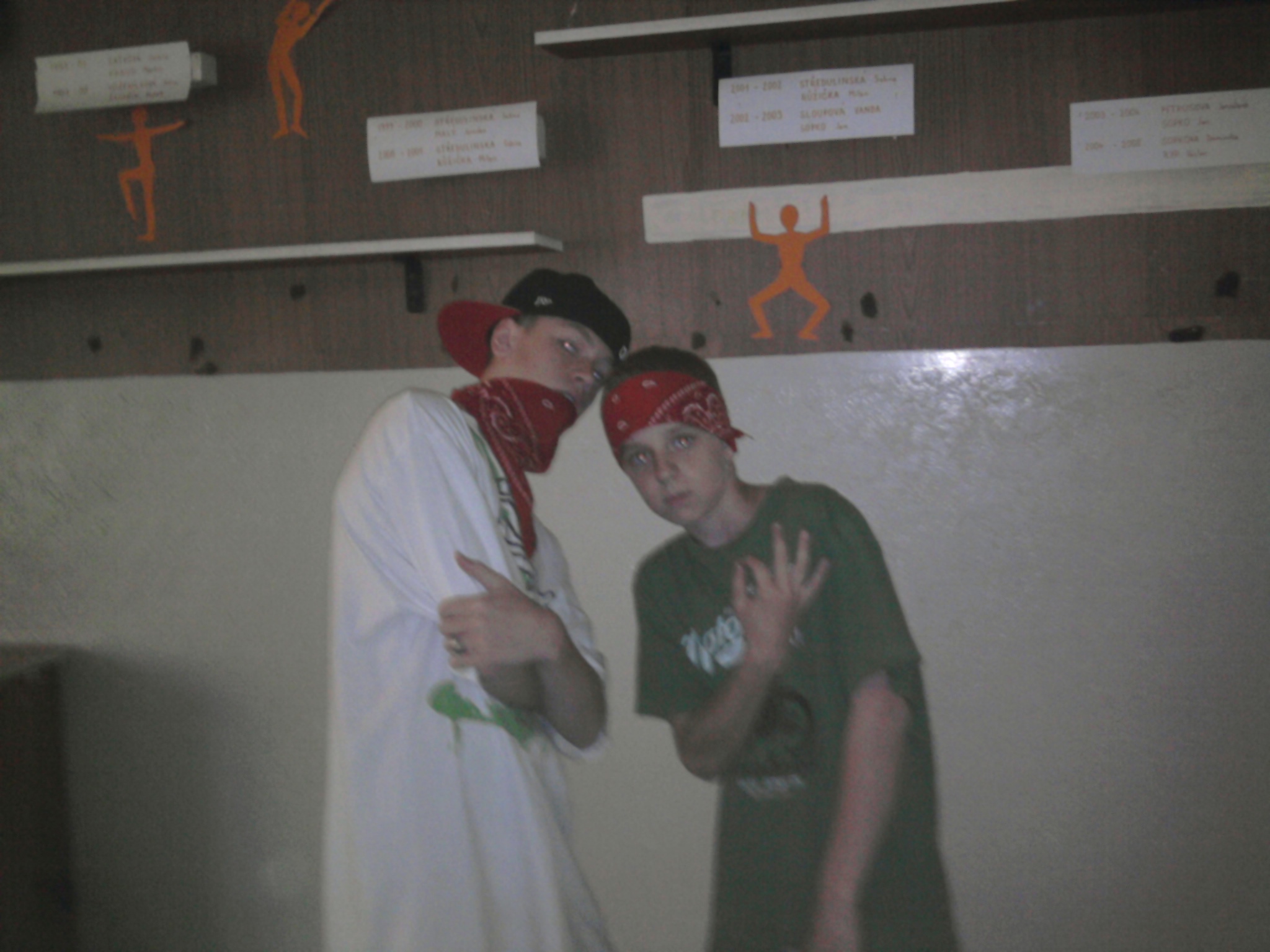 Bloods.jpg